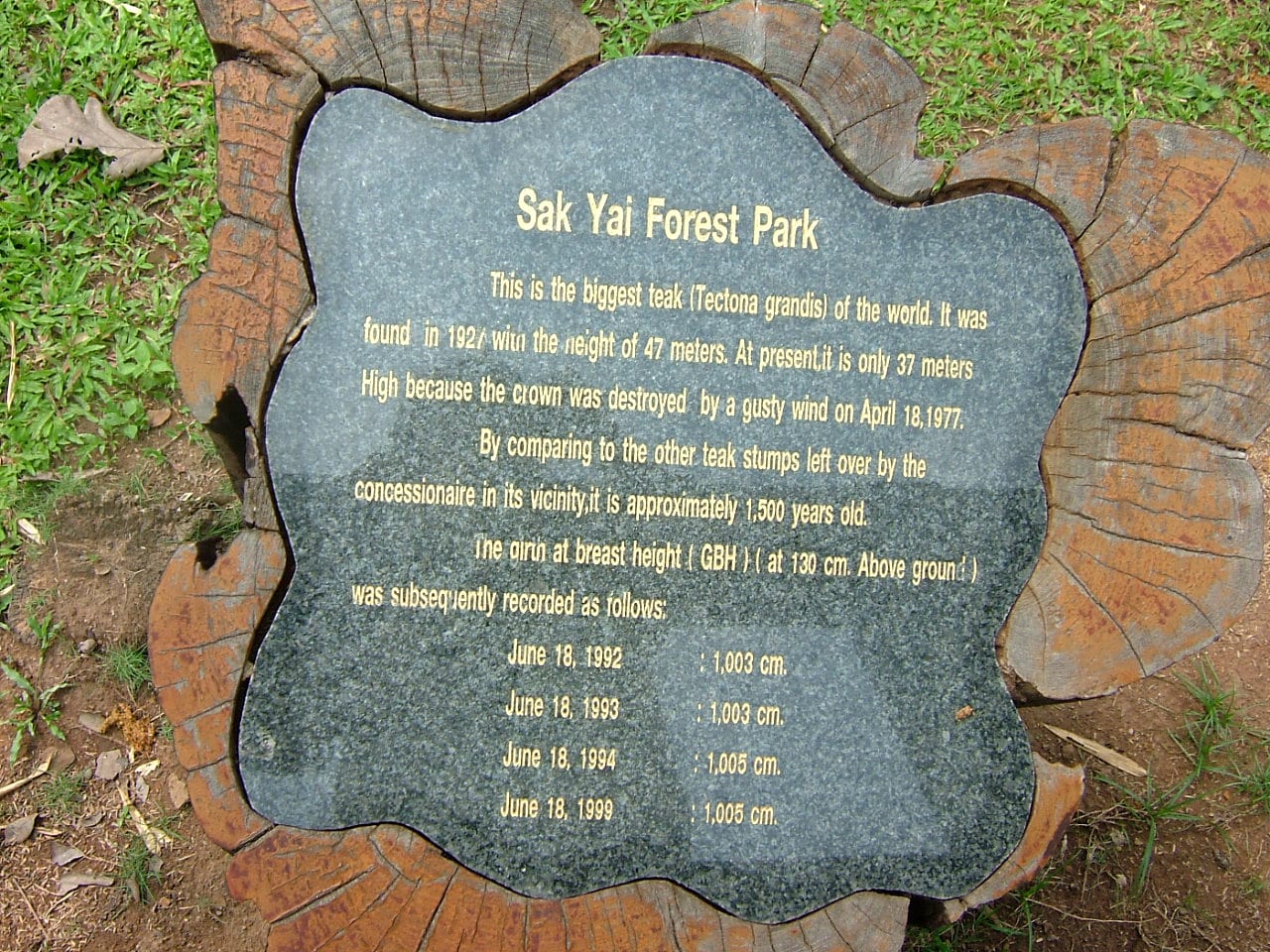 Ton Sak Yai National Park