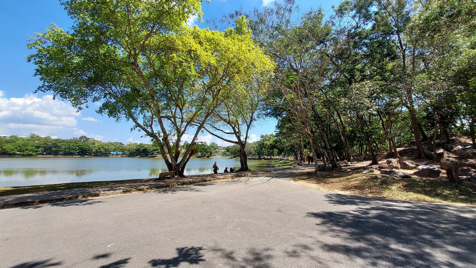 สวนขวัญเมือง (พรุบาโกย)