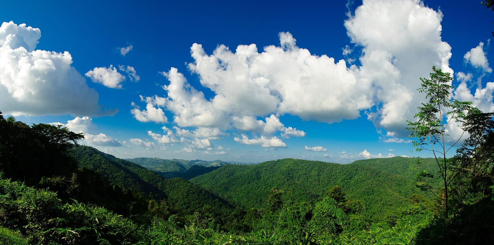 Where to stay in Khao Yai
