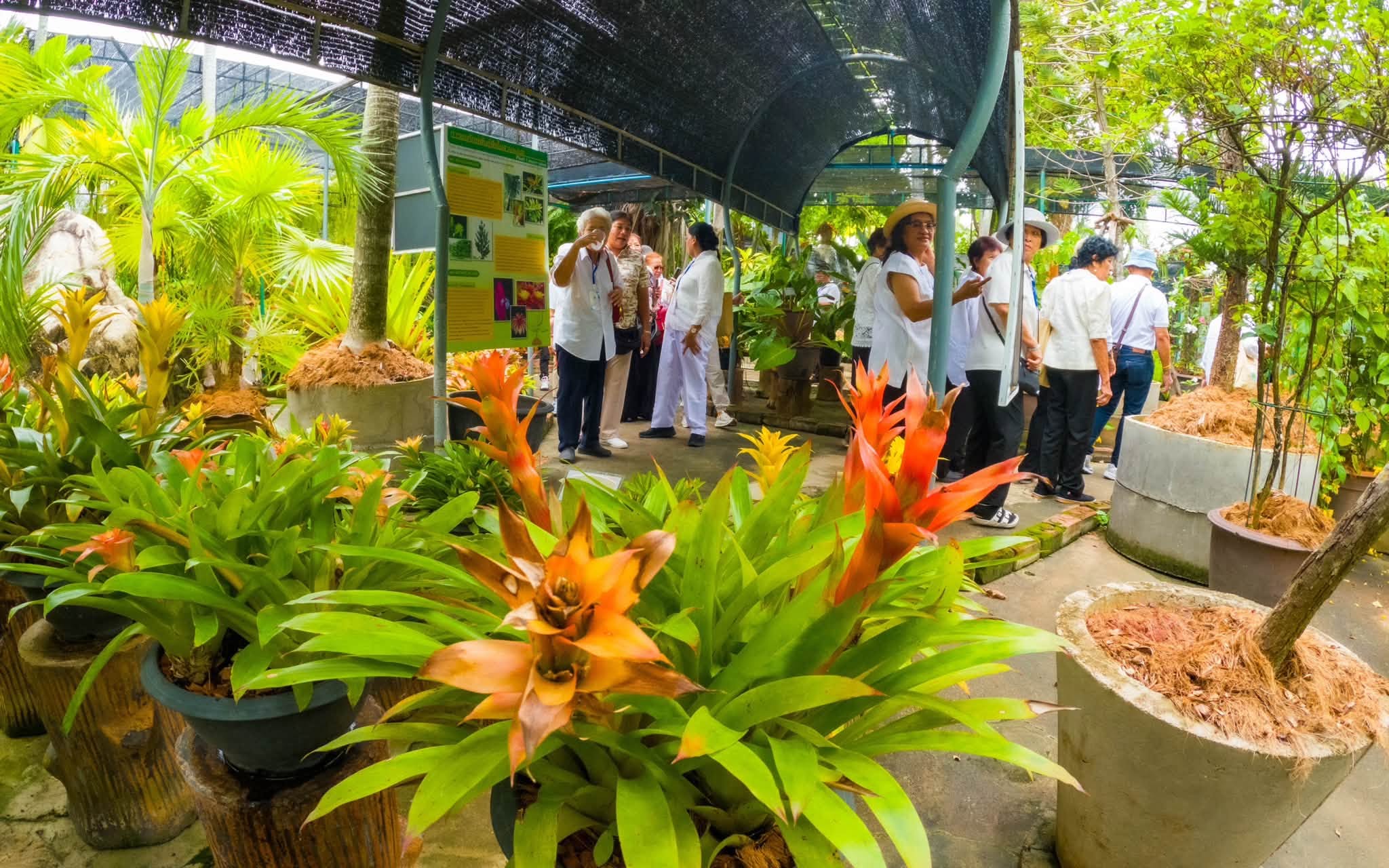 Nong Nooch Tropical Garden Pattaya Beautiful gardens and a Dinosaur Valley kids love