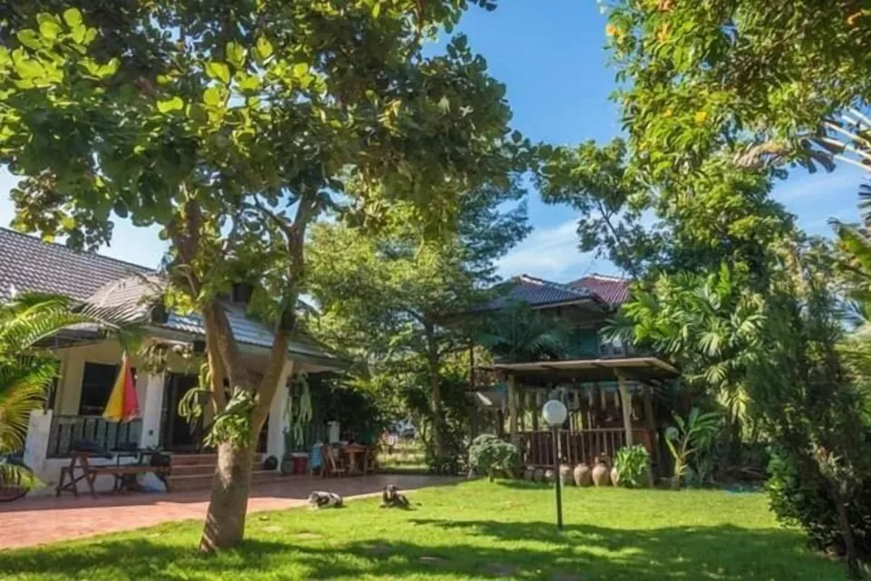 บริเวณสวนและทางเข้าบ้านของ Plus Hostel Ayutthaya ร่มรื่นด้วยต้นไม้