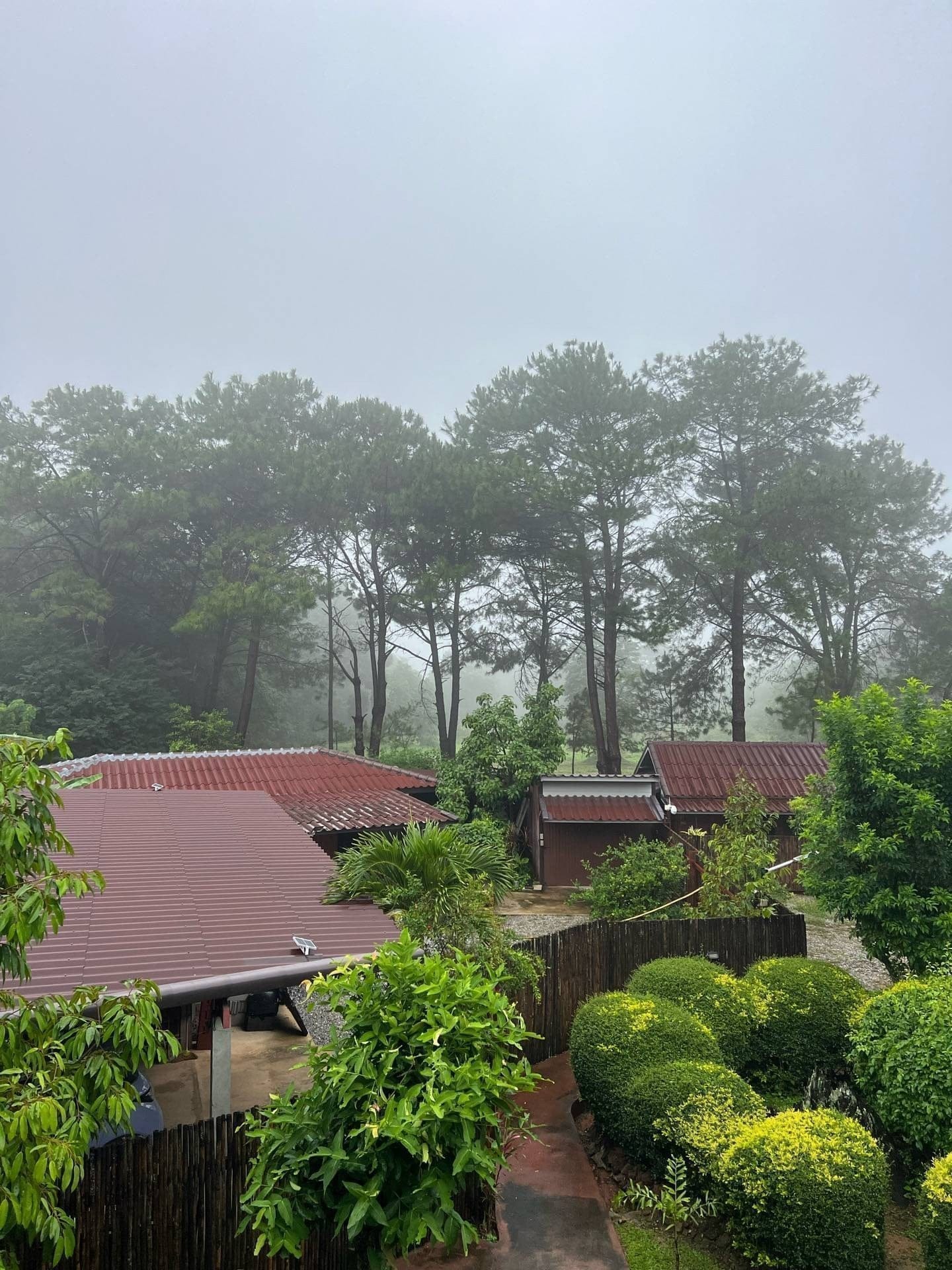 บังกะโลของ ป่าดินหินงาม รีสอร์ท ตั้งอยู่ในสวนร่มรื่น
