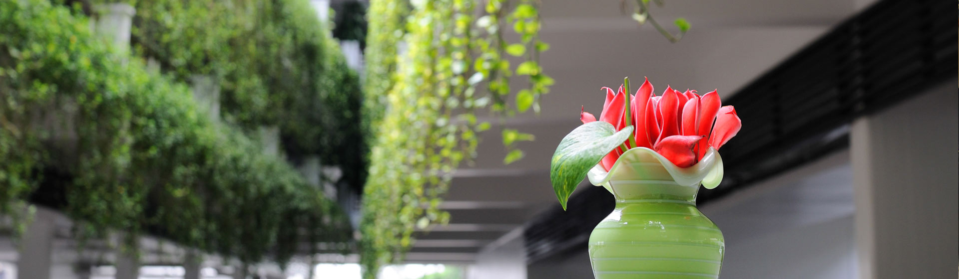 ภายนอกอาคารและพื้นที่ส่วนกลางของ Kasemsarn Hotel ใจกลางเมืองจันทบุรี