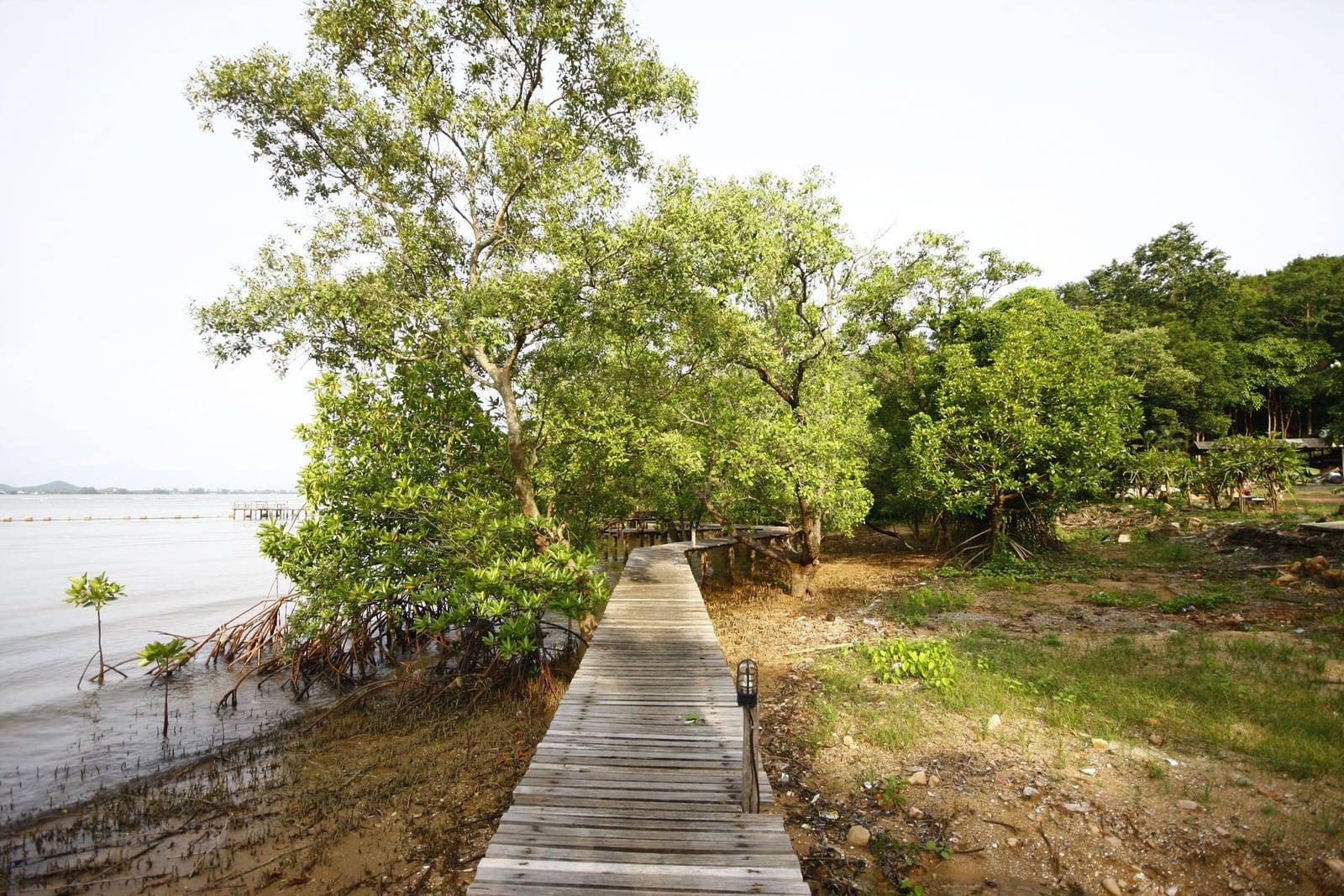 หาดส่วนตัวและบรรยากาศริมทะเลของ Seashell Village Resort ที่หาดซีเชลล์ จันทบุรี