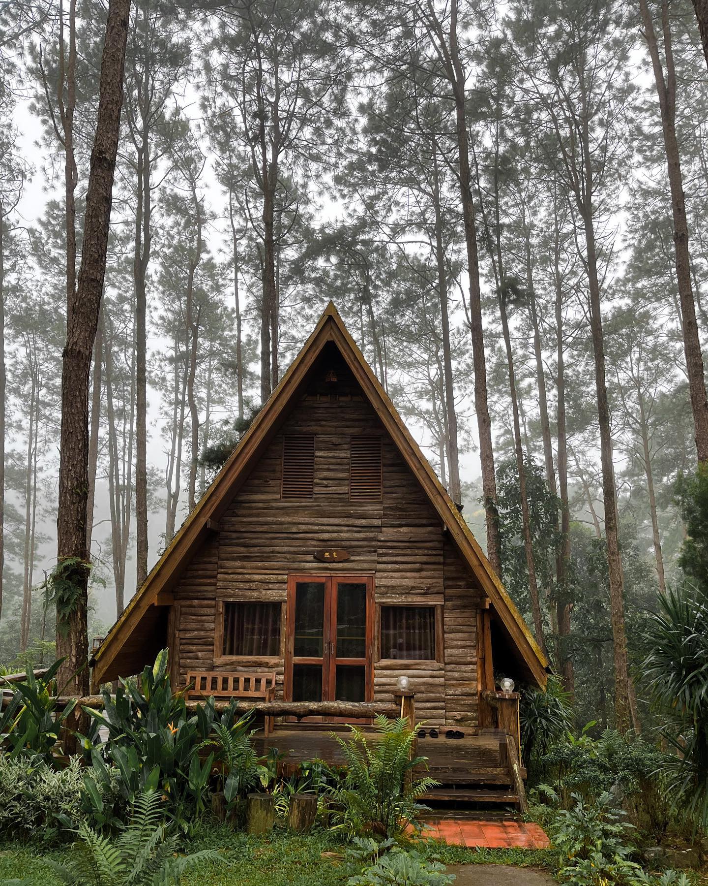 บ้านไม้ A-frame หลังคาทรงสามเหลี่ยมของสวนป่าดอยบ่อหลวง ตั้งอยู่กลางแนวต้นสน