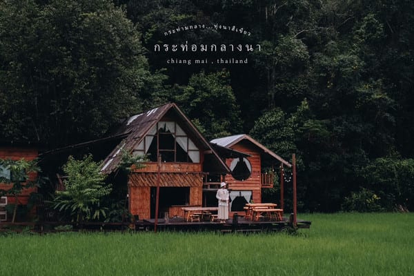 ทุ่งนาขั้นบันไดสีเขียวรอบกระท่อมกลางนา มองเห็นแนวเขาเป็นฉากหลัง