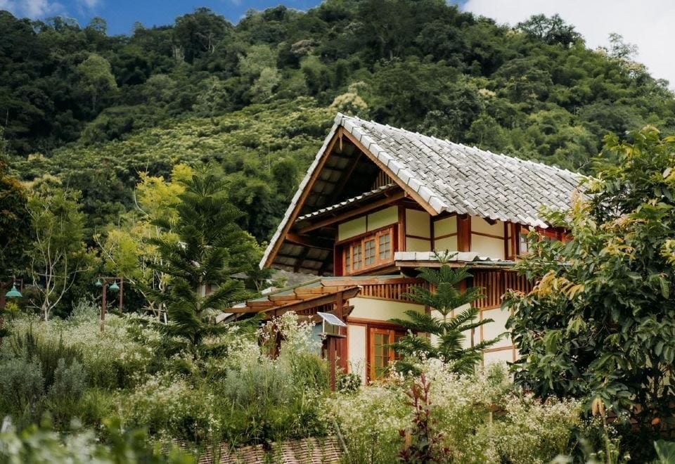 มุมสวนผักออร์แกนิกและลานนั่งเล่นของ Mori Natural Farm บนดอยแม่ริม