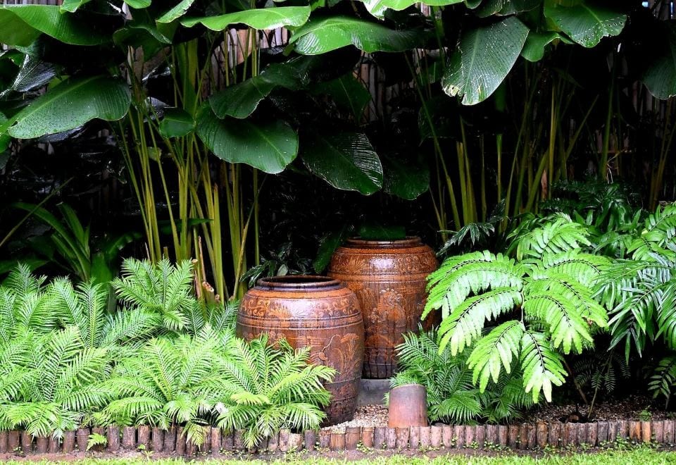 ร้านอาหาร The Rachamankha บรรยากาศคลาสสิกใต้หลังคาไม้ เสิร์ฟอาหารเหนือและไทย
