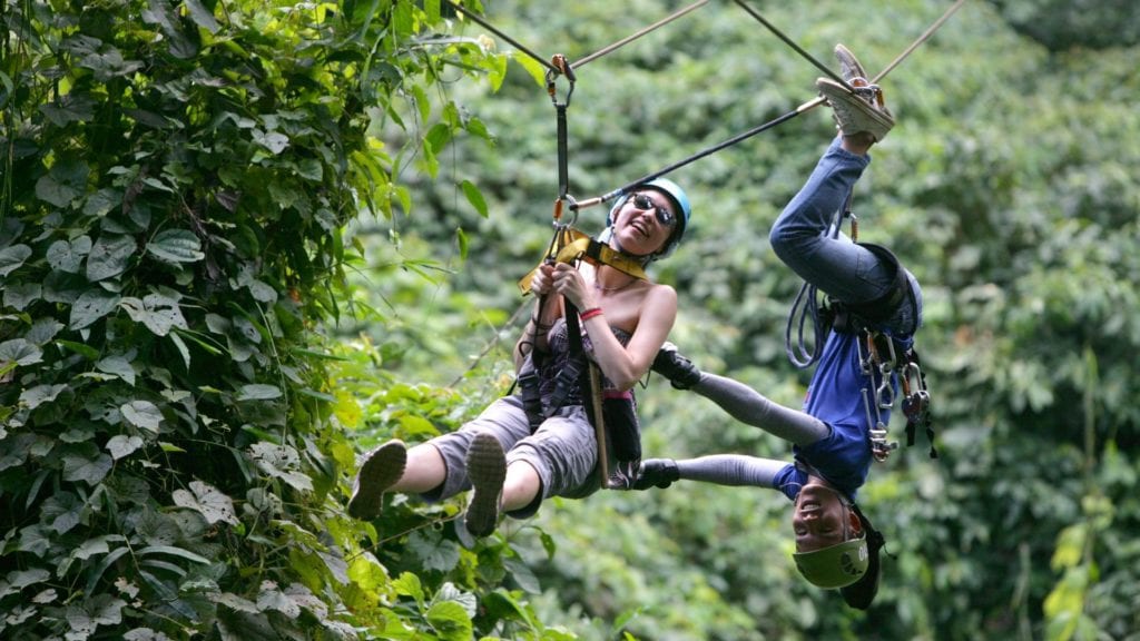 กิจกรรมซิปไลน์ผ่านเรือนยอดไม้ในป่ารอบ Tree House Hideaway เชียงดาว