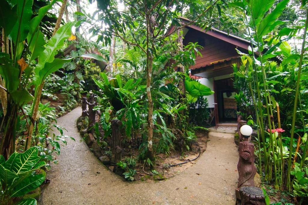Wooden bungalow in the lush jungle garden of Khao Sok Las Orquideas Resort in Khlong Sok village