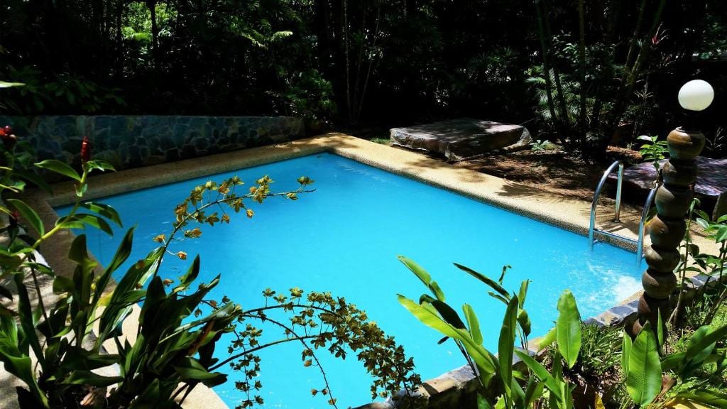 Small swimming pool and leafy tropical garden inside Khao Sok Las Orquideas Resort