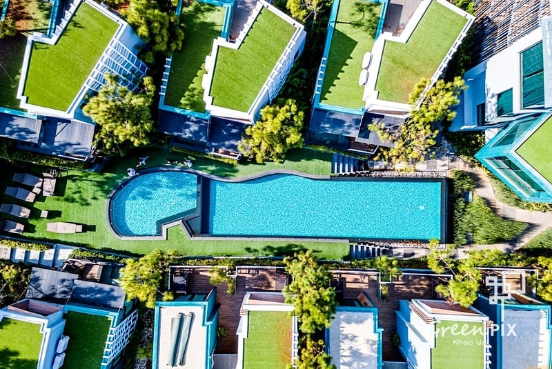 The outdoor pool at Green Pix Khaoyai with the mountains as a backdrop, surrounded by leafy greenery