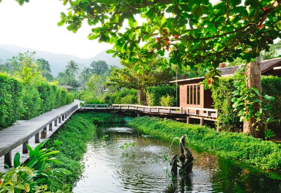 GajaPuri's wooden cottages and villas amid a lush, shady tropical jungle garden