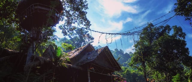 Green garden and pathways at the forest-edge hillside resort by Koh Chang National Park