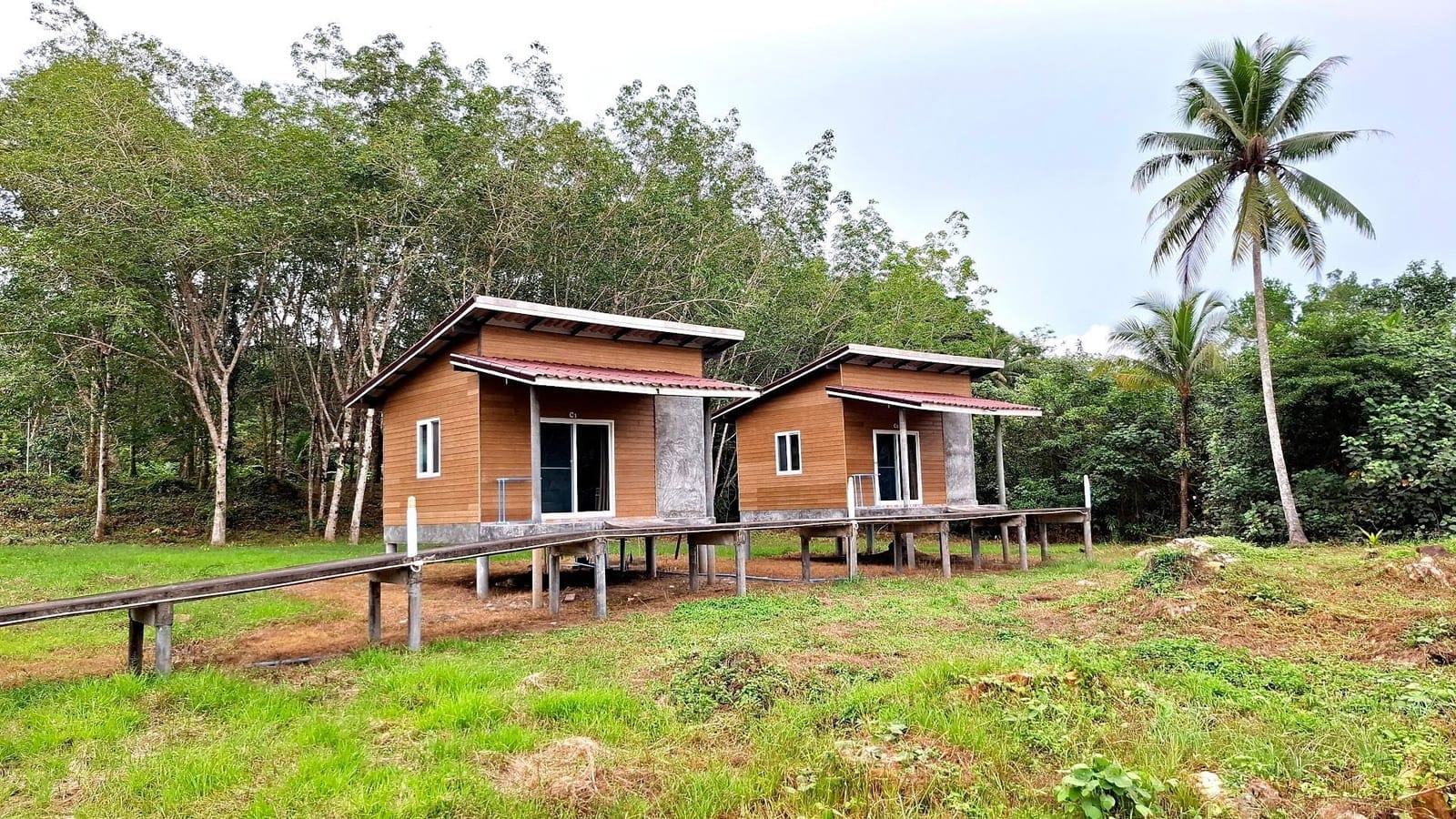 A raised wooden bungalow at Ao Salat View Koh Kood among rubber trees and greenery