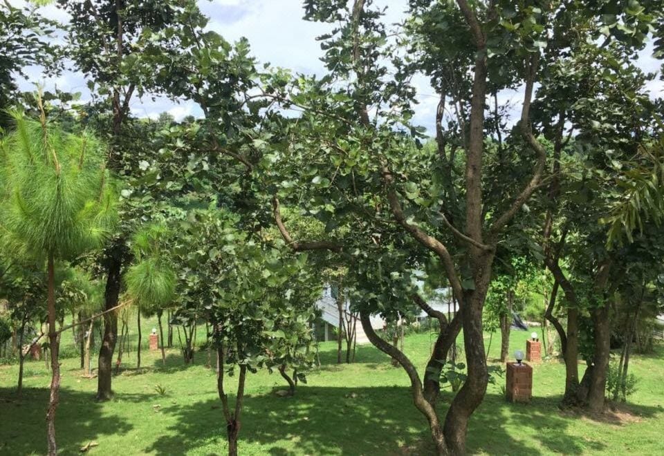 บ้านพักหลังเดี่ยวกลางสวนของ Baan I Love Wang Nam Keaw มองเห็นลานหญ้าและต้นไม้