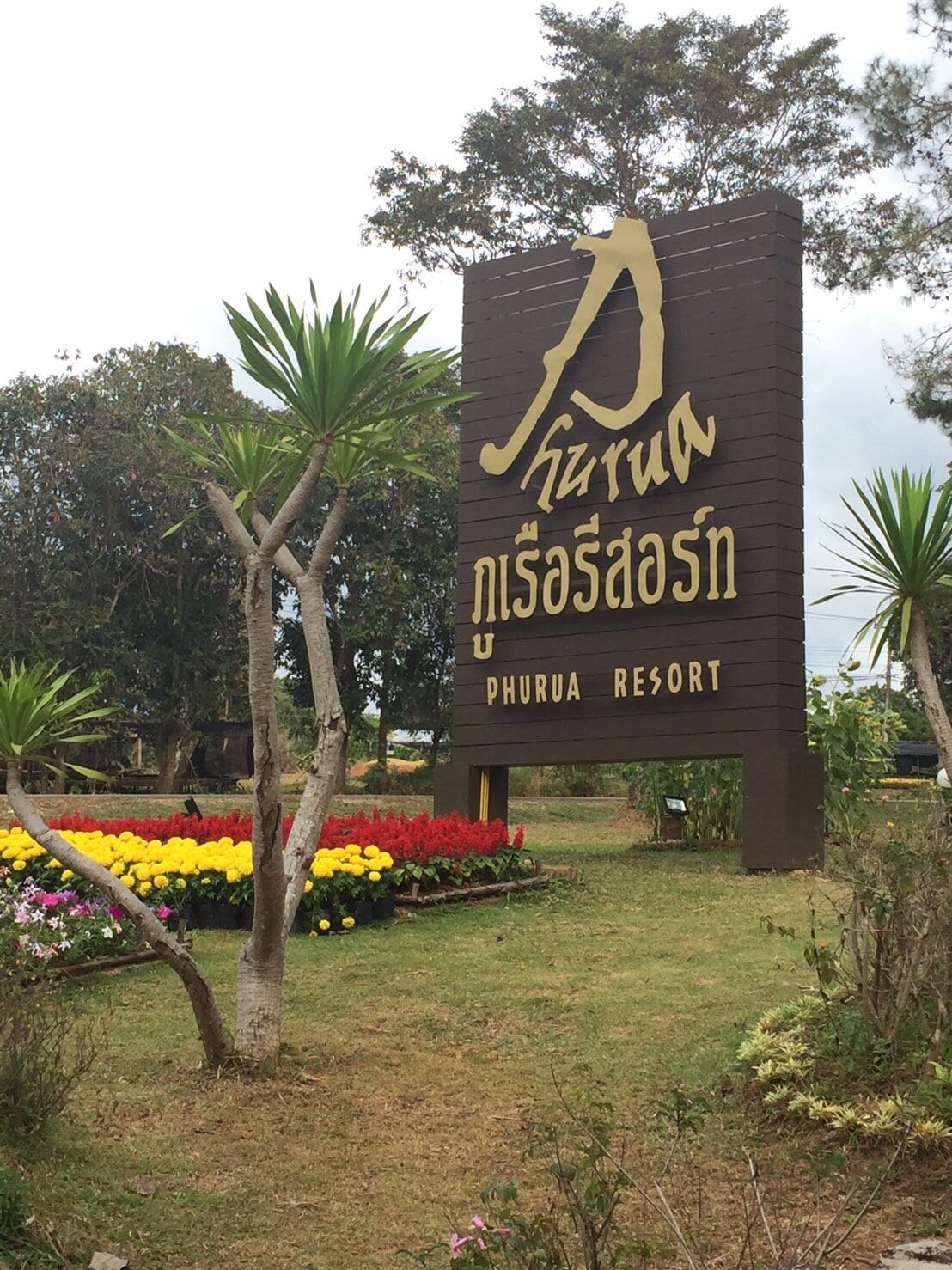 บรรยากาศสวนและทางเดินภายใน Phurua Resort ท่ามกลางอากาศเย็นบนภูเรือ