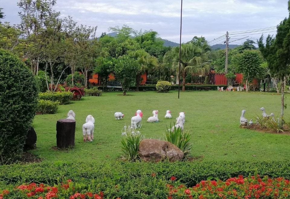 อาคารบังกะโลและสวนของบ้านภูธดลบนเนินปางหมู แม่ฮ่องสอน ท่ามกลางความร่มรื่น