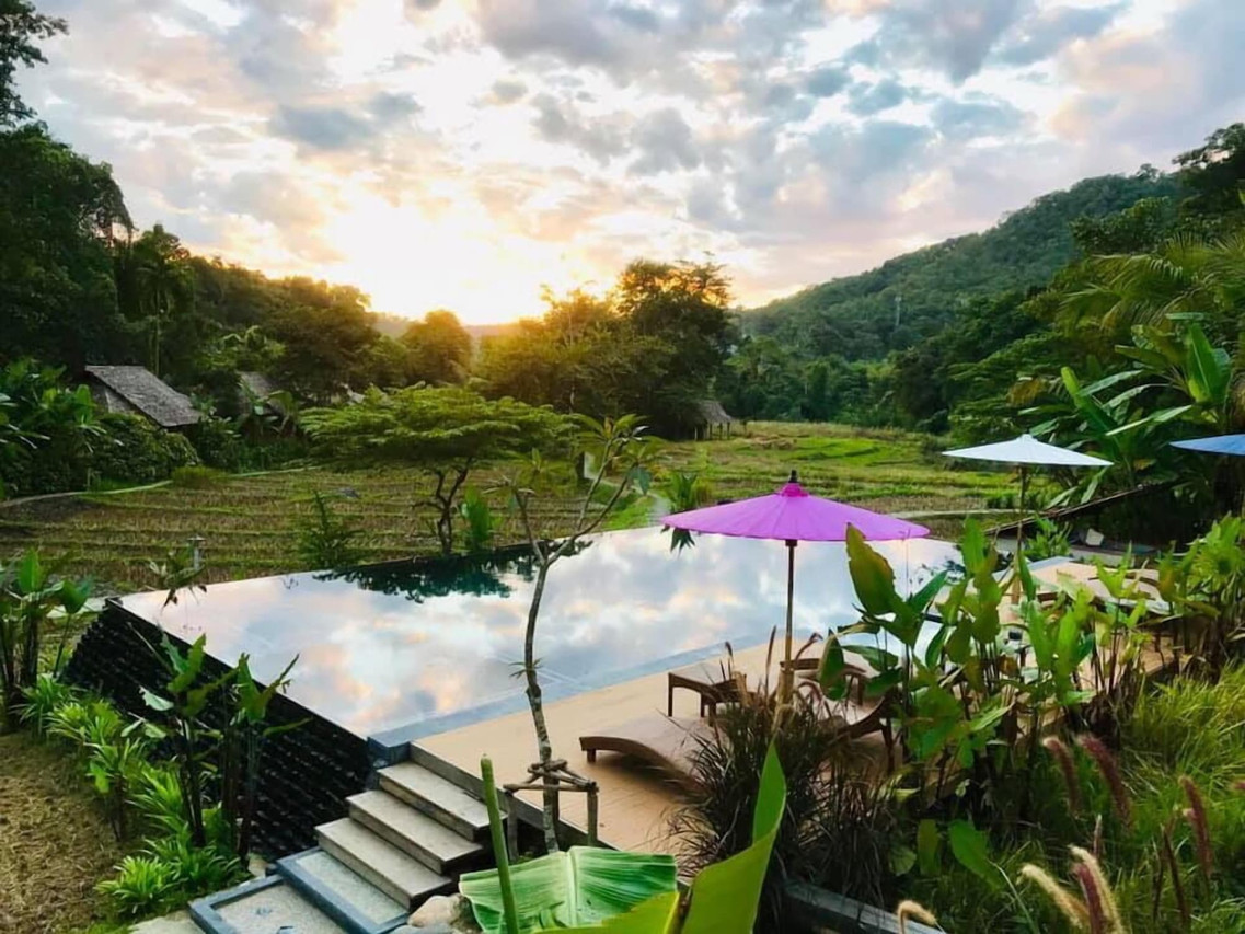 กระท่อมไม้สักมุงหลังคาหญ้าคาของ Fern Resort ตั้งกลางป่าเขียวริมลำธาร
