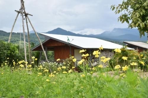 บ้านพักของ Hinpha Homestay กลางทุ่งนาในอำเภอปัว น่าน มองเห็นแนวเทือกเขาเป็นฉากหลัง