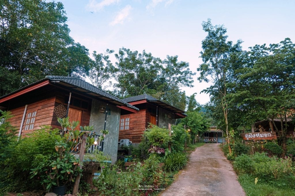 บ้านไม้ของภูผิงหมอก โฮมสเตย์ ตั้งลดหลั่นริมลำธารกลางป่าในอำเภอบ่อเกลือ น่าน