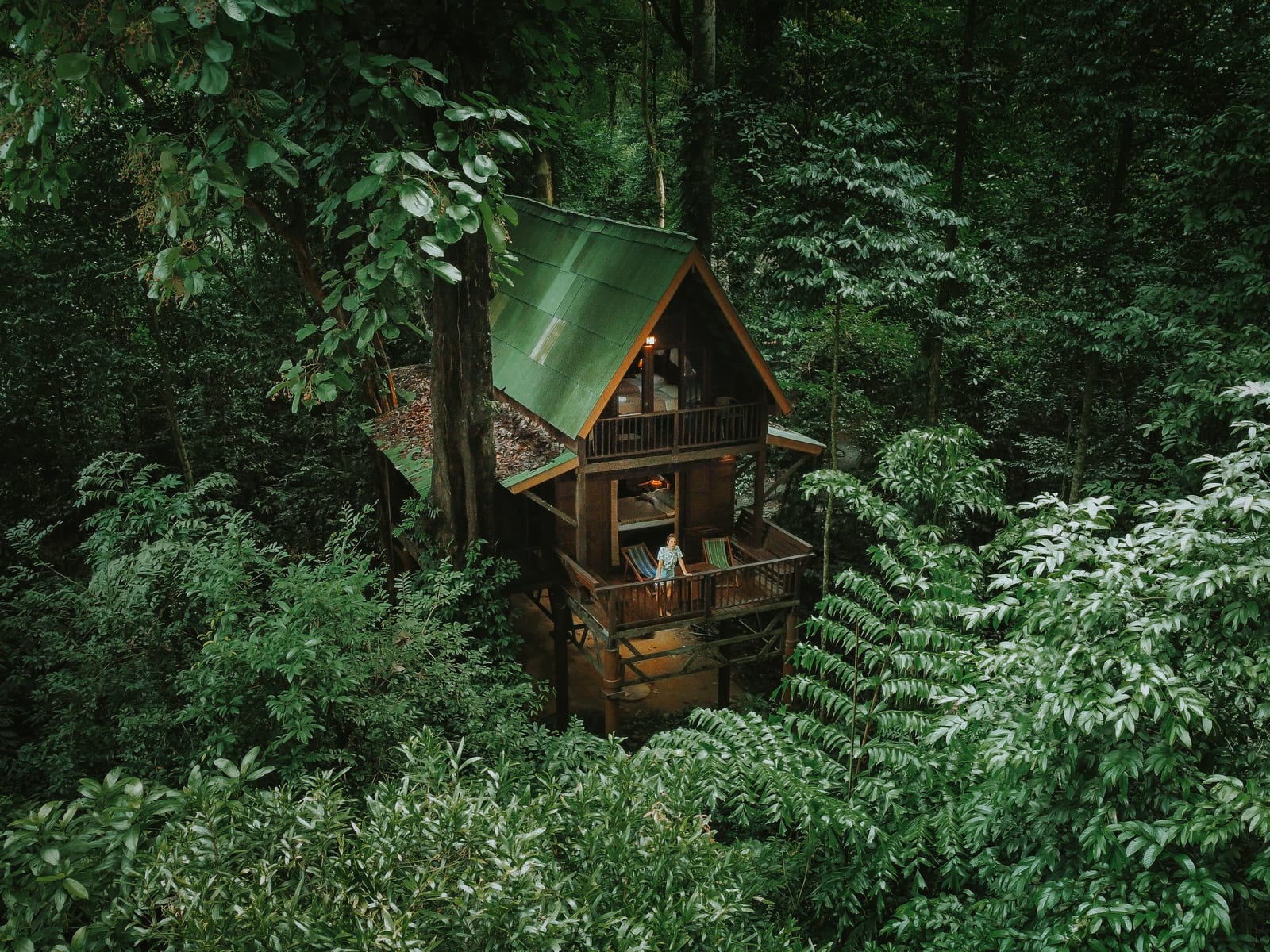 Our Jungle House
