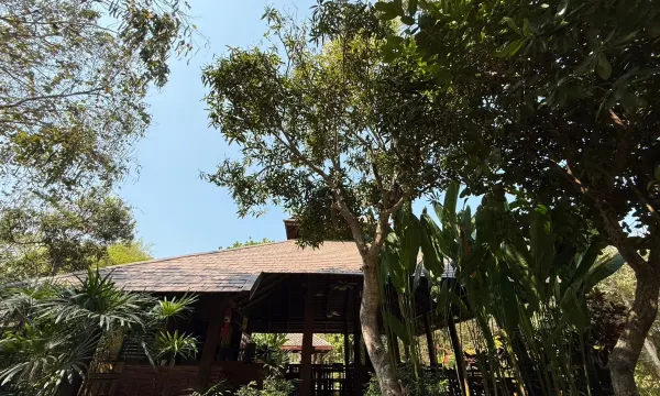 ร้านอาหารริมน้ำของรีสอร์ต บรรยากาศโปร่งมองออกไปเห็นต้นไม้