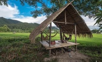 บังกะโลของ The Countryside Pai ตั้งอยู่กลางทุ่งนาเขียวพร้อมวิวภูเขาเป็นฉากหลัง