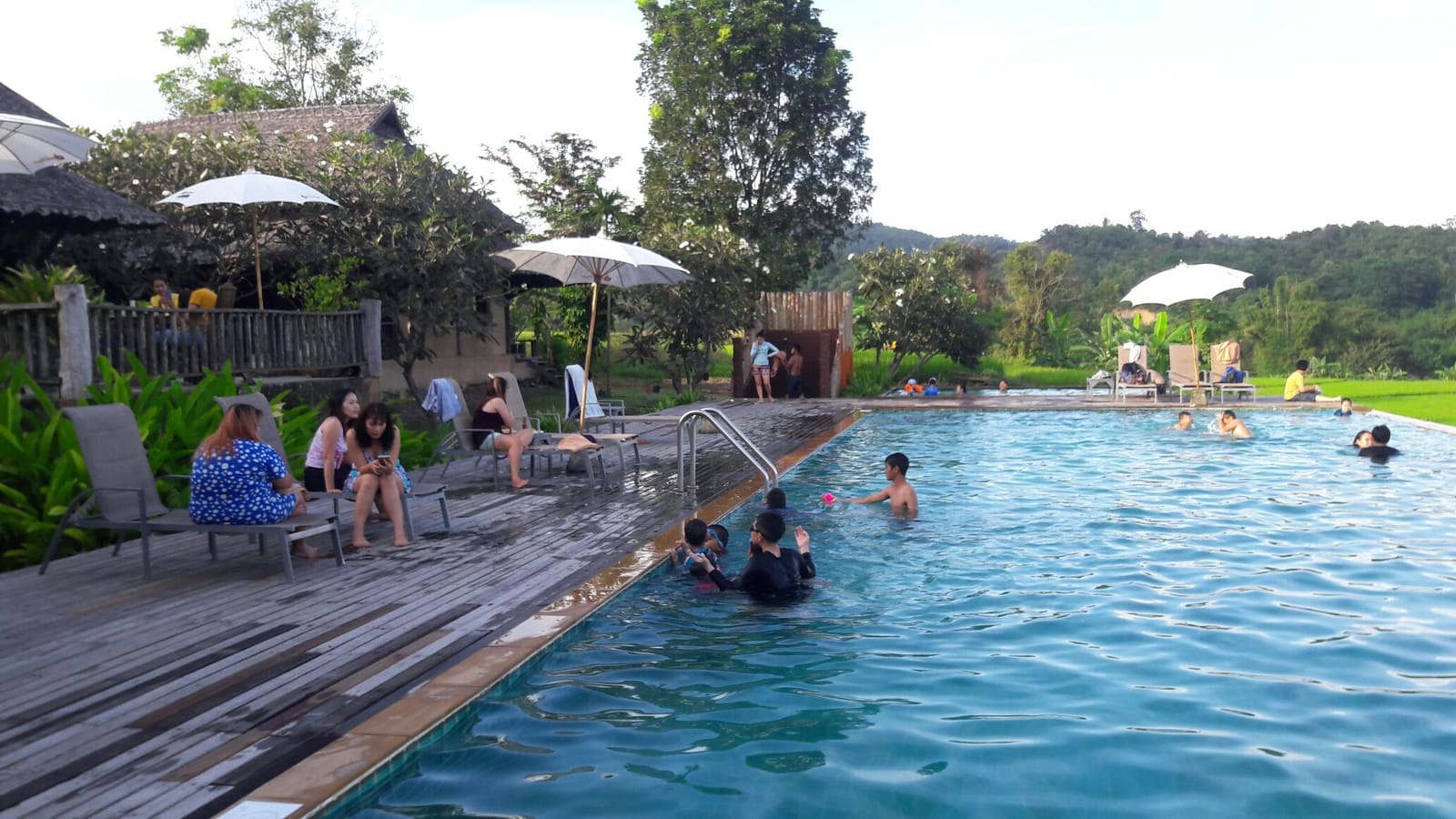 สระว่ายน้ำอินฟินิตี้ของ Phu Pai Art Resort มองออกไปเห็นทุ่งนาและภูเขา