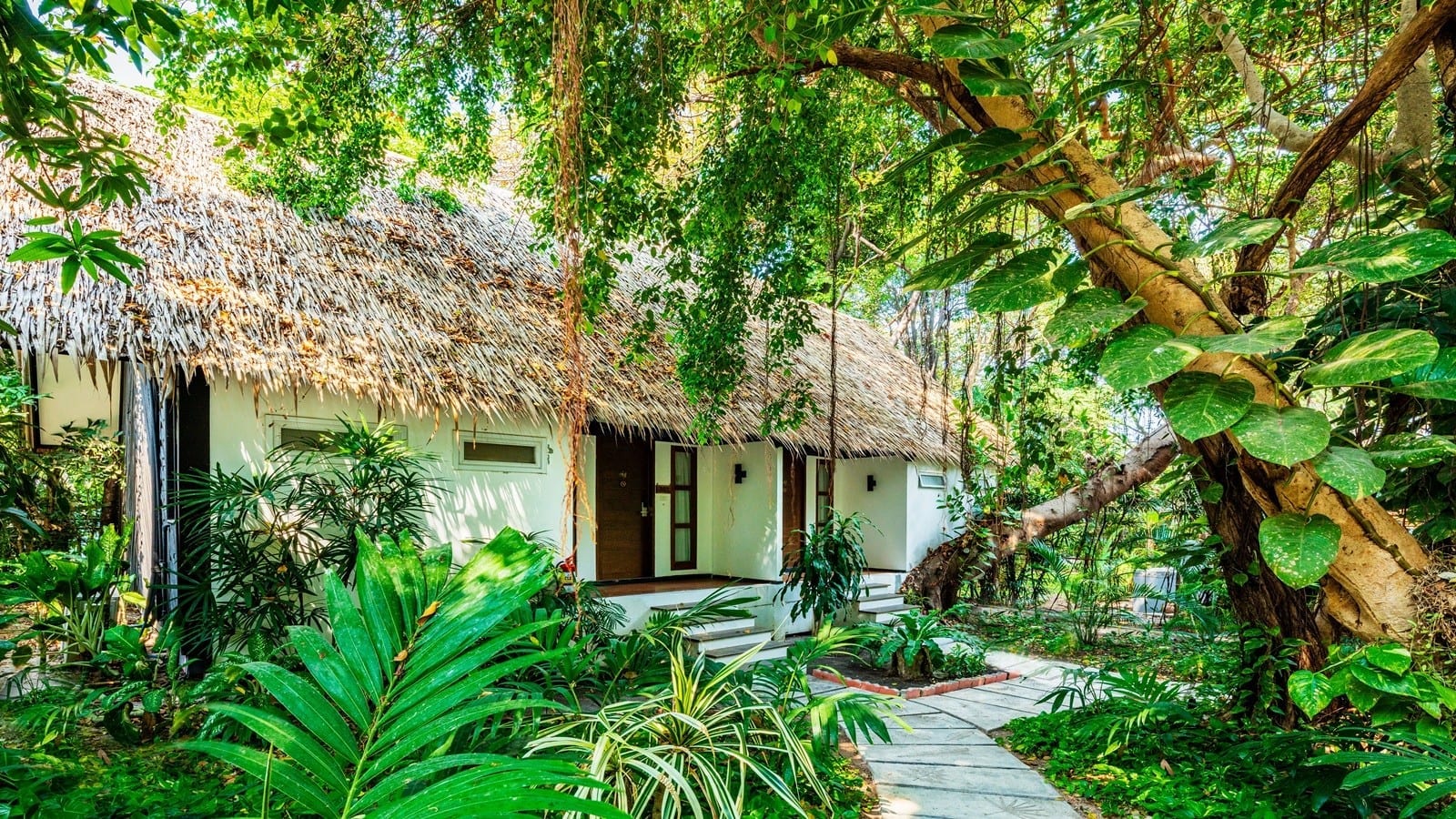 ห้อง Garden Suite หลังคามุงจากของ The Monttra Pattaya ซ่อนตัวอยู่ในสวนเขตร้อนเขียวขจี