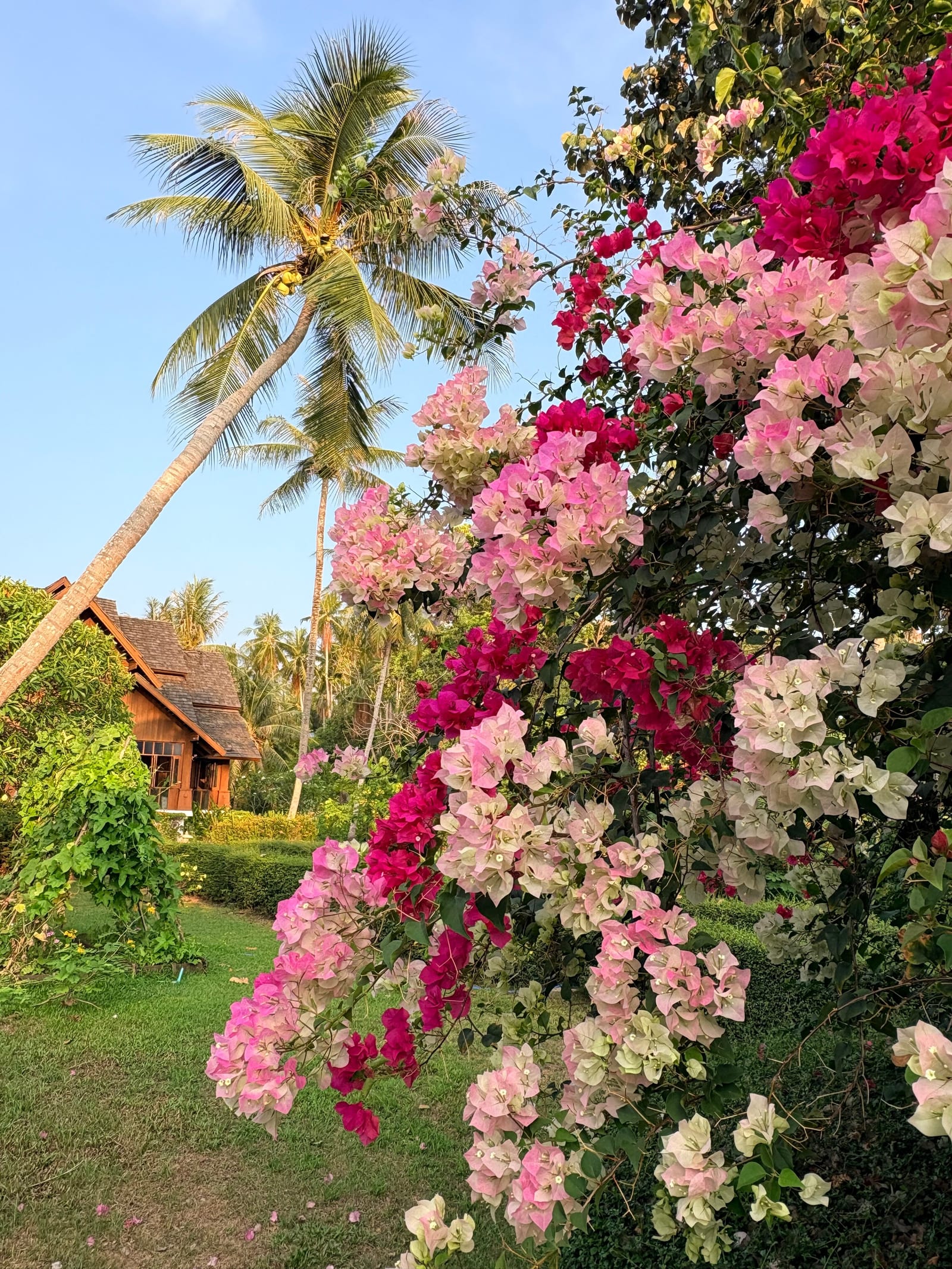 หาดส่วนตัวของ Elixir Resort Koh Yao Yai ยามเย็น น้ำทะเลใสเงียบสงบ