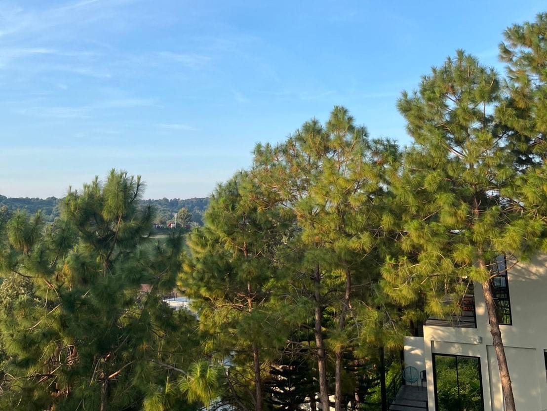 อาคารห้องพักของ Krin Resort เขาค้อ ท่ามกลางต้นไม้และวิวหุบเขา