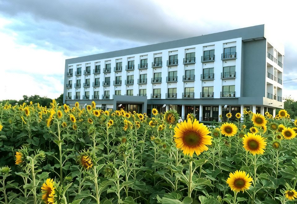 ห้องพักของ The Nest Hotel Phichit เตียงนุ่ม โทนสว่าง สะอาดตา