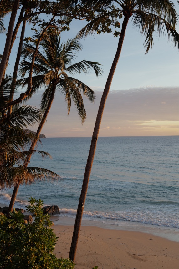 Pansea Beach in front of Amanpuri at sunset, with white sand and palm trees