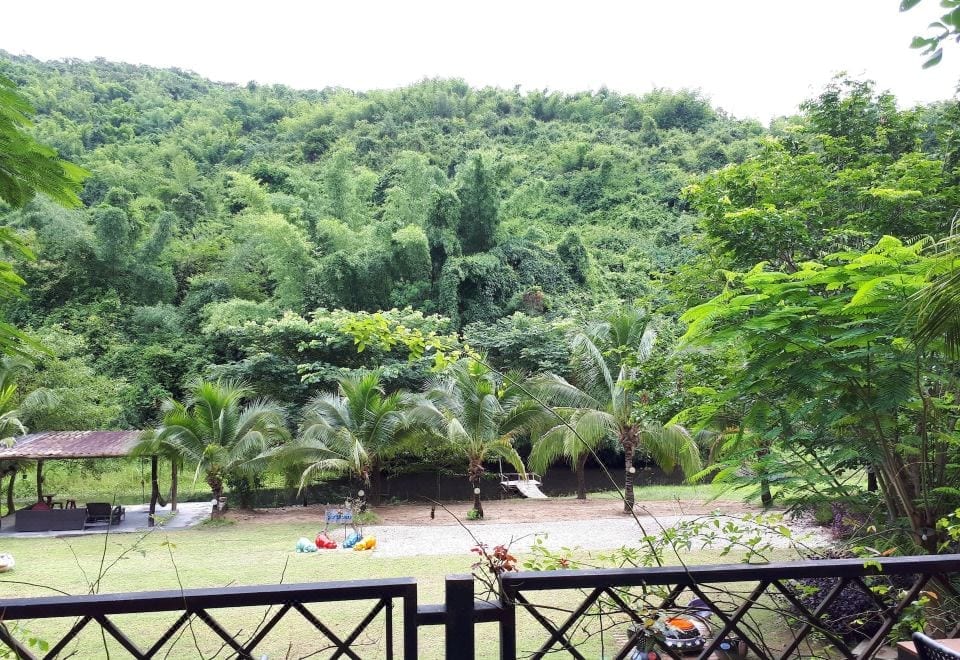 วิวภูเขาและทุ่งเขียวของสวนผึ้งมองจากระเบียงบ้านพักพริบพันดาว