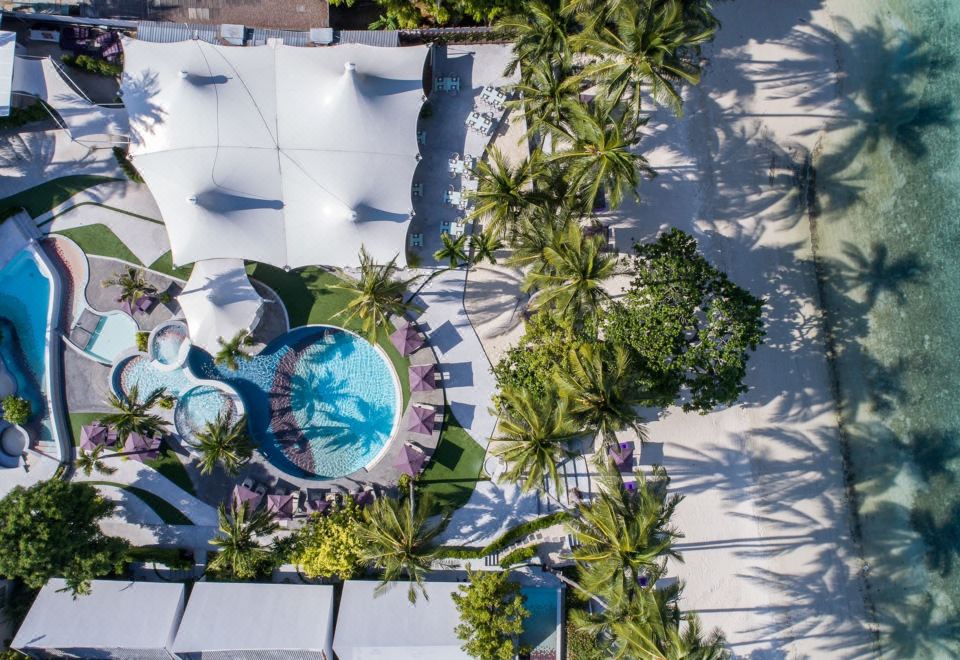 La Vida Samui