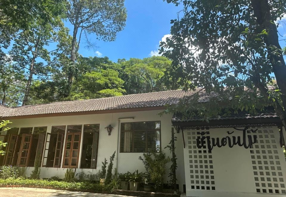 สระว่ายน้ำกลางแจ้งของ Tree House Hotel ศรีสะเกษ ท่ามกลางต้นไม้เขียว