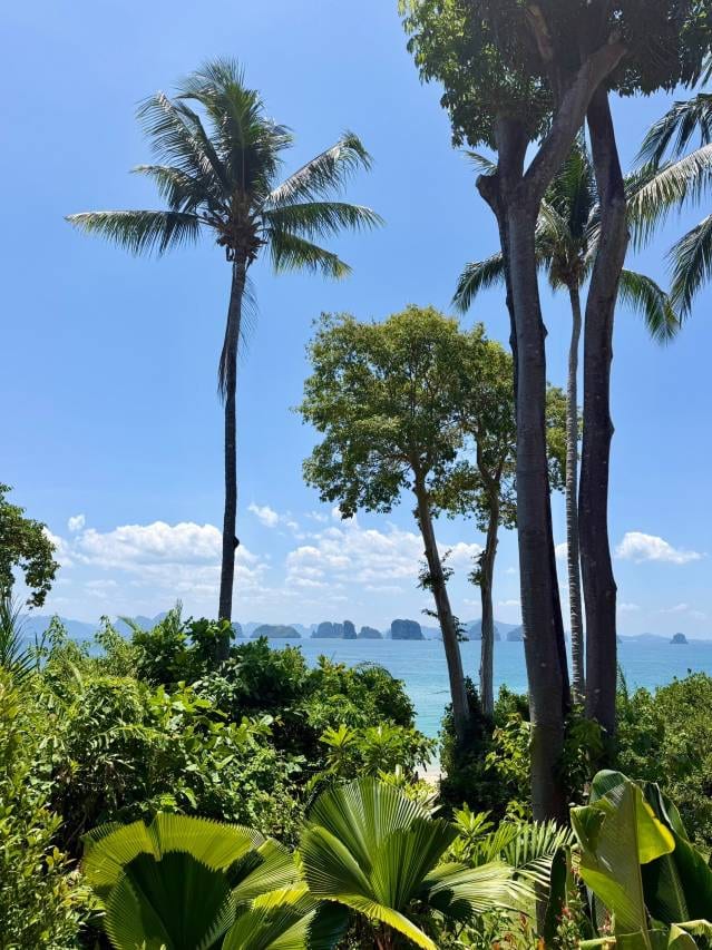 A raised thatched-roof pool villa at Six Senses Yao Noi with a private infinity pool and an open-air sala