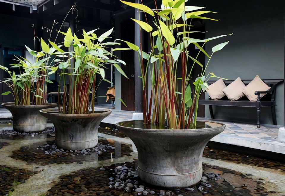 ห้องพักดีลักซ์ของ Centara Hotel Hat Yai เตียงใหญ่และวิวเมืองหาดใหญ่