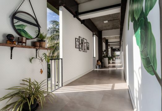 รายละเอียดการตกแต่งด้วยไม้และต้นไม้สีเขียวภายใน The Wood Hotel